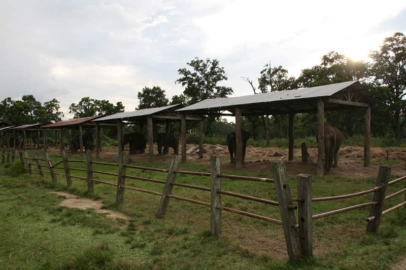 India & Nepal 2011 - 0594